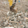 Easy Maintenance And Excellent Versatility SANY SY75C Excavator